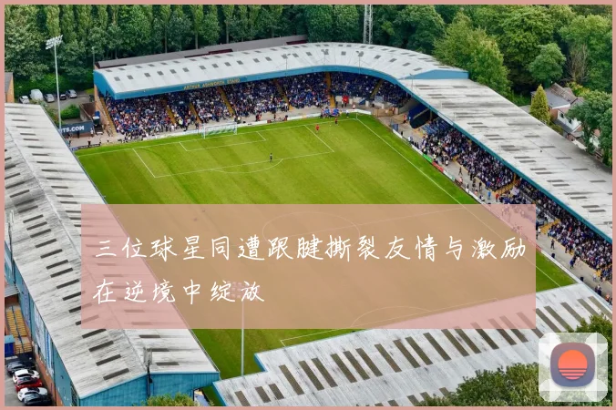 三位球星同遭跟腱撕裂友情与激励在逆境中绽放